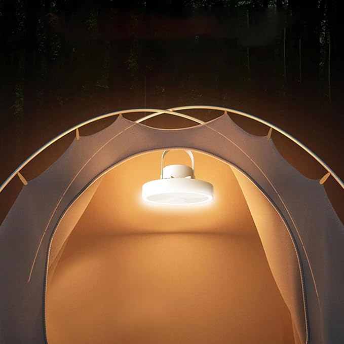 Ventilateur portable à vitesse réglable rotatif à 360°